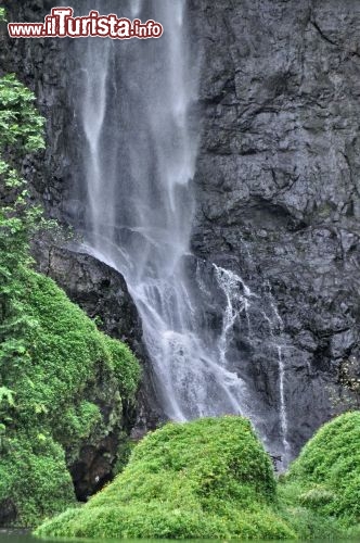 Immagine Cascata all interno di Tahiti Polinesia Francese