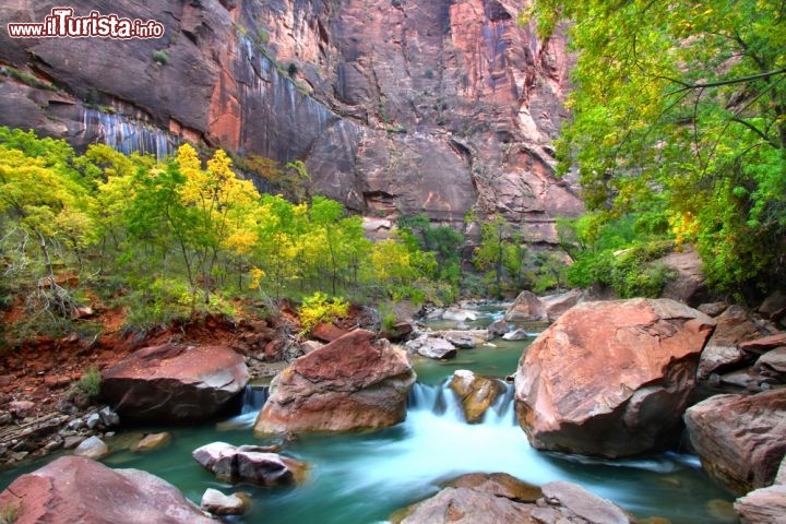 Immagine Rapide lungo il Virgin River all'interno del Zion Canyon, nel Zion National Park dello Utah, USA. Il paesaggio del parco è molto vario, e oltre a zone semi-desertiche e aride spaccature della roccia regala panorami lussureggianti. Acqua, vegetazione e rocce risplendono di colori meravigliosi nelle giornate di sole - © Jason Patrick Ross / Shutterstock.com