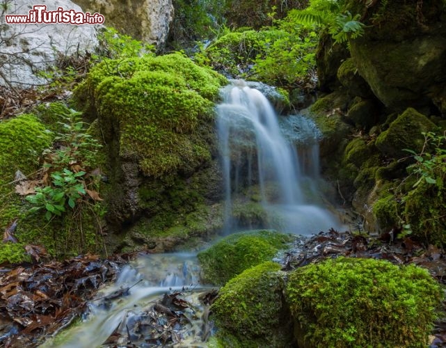 Immagine Cascata a Nidri sull'isola di Lefkada, Grecia - Superato il villaggio di Rachi inizia il canyon di Dimosari fra alti alberi che ombreggiano il percorso da effettuare per raggiungere le cascate di Nidri. Sono visibili solo in primavera o in autunno mentre d'estate sono in secca. Formano dei bei laghetti color blu che invogliano ad un bagno © Netfalls - Remy Musser / Shutterstock.com