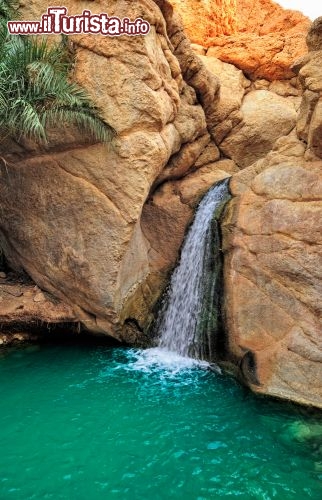 Immagine Cascata d'acqua e pozza limpida presso l'oasi di Chebika: ci troviamo sulle montagne,nella regione di Tozeur in Tunisia, al confine con il deserto del Sahara - © Igor Grochev / Shutterstock.com