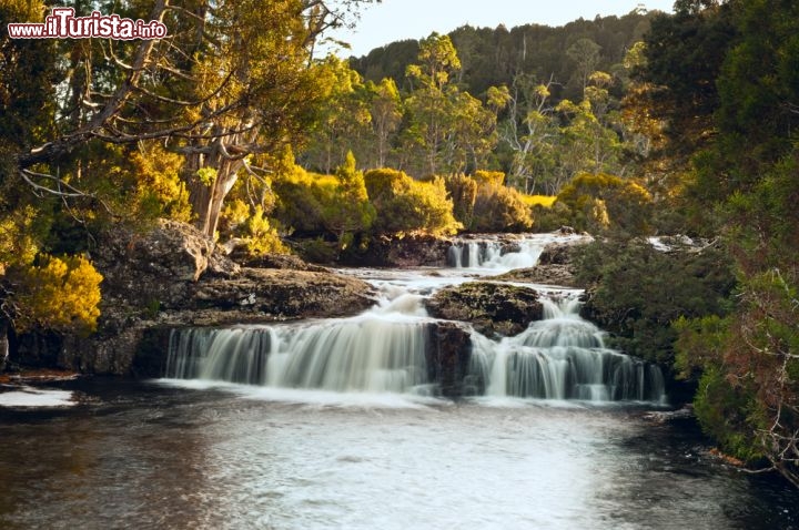 Immagine Cascata presso il Cradle Mountain Lodge in Tasmania - © 3523studio / Shutterstock.com