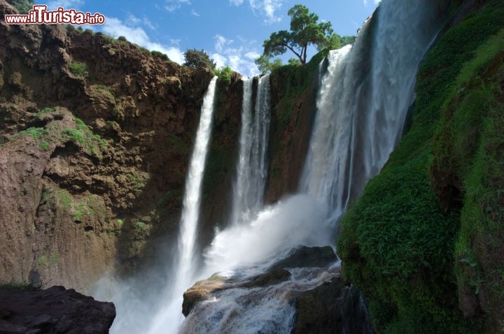 Immagine Le Cascate Ouzoud si trovano sul versante occidentale dell'Atlante a circa 120 km da Beni Mellal in Marocco - © Henk Vrieselaar / Shutterstock.com