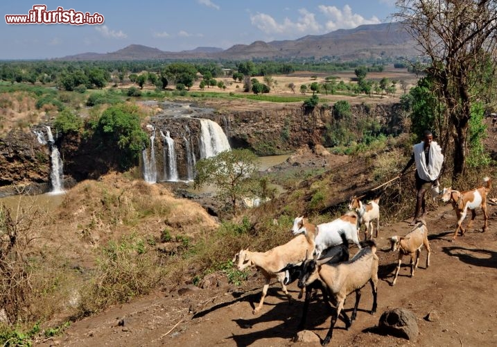 Immagine Cascate Tissisat a sud del Lago Tana, Etiopia