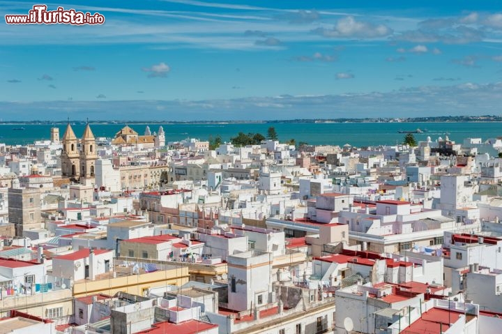 Immagine Fotografia della case bianche di Cadice la città costiera e porto in Andalusia - © javarman / Shutterstock.com