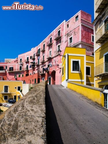 Immagine A Ventotene (Latina, Lazio), la piccola isola dell'arcipelago Ponziano, alcune strade sono rallegrate dai colori accesi delle case, che generano un contrasto gioioso col blu del cielo e del Mar Tirreno - © Mauro Matacchione / Shutterstock.com