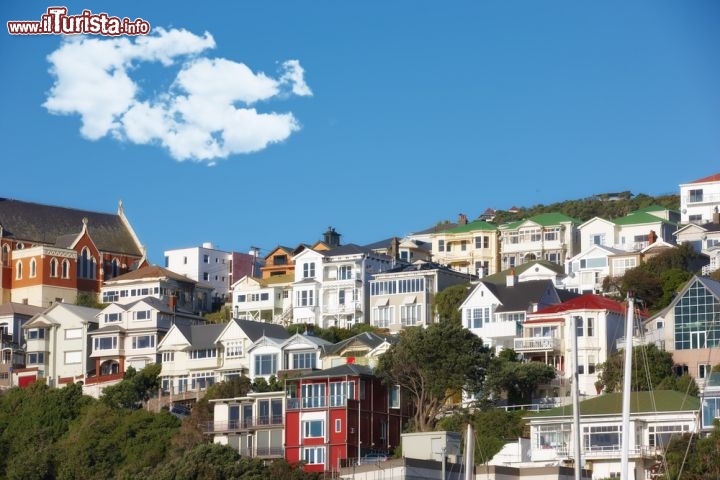 Immagine Il Monte Victoria di Wellington, capitale della Nuova Zelanda, è un'altura gremita di case che guardano verso il mare del Wellington Waterfront. Sulla sinistra si vede un'ala della chiesa di St. Gerard  - © Dhoxax / Shutterstock.com