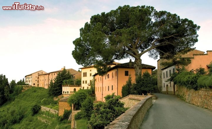 Le foto di cosa vedere e visitare a Castelfalfi