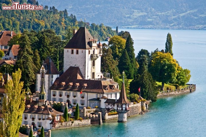 Le foto di cosa vedere e visitare a Oberhofen am Thunersee