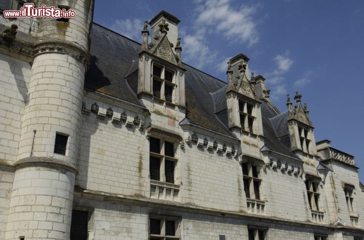 Immagine Il Castello Reale di Loches, nella  Valle della Loira in Francia  - © Pack-Shot / Shutterstock.com