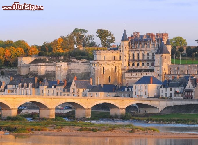 Le foto di cosa vedere e visitare a Amboise