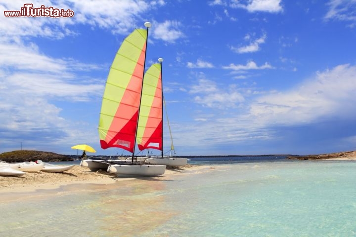 Immagine Tra le attività all'aria aperta che si possono sperimentare a Formentera, lungo le sue spiagge bianche, ci sono le uscite in mare a bordo di un catamarano. Come resistere alla tentazione di scivolare sul mare limpidissimo al largo delle Baleari, spinti dalla brezza estiva e baciati dal sole? - © holbox / Shutterstock.com