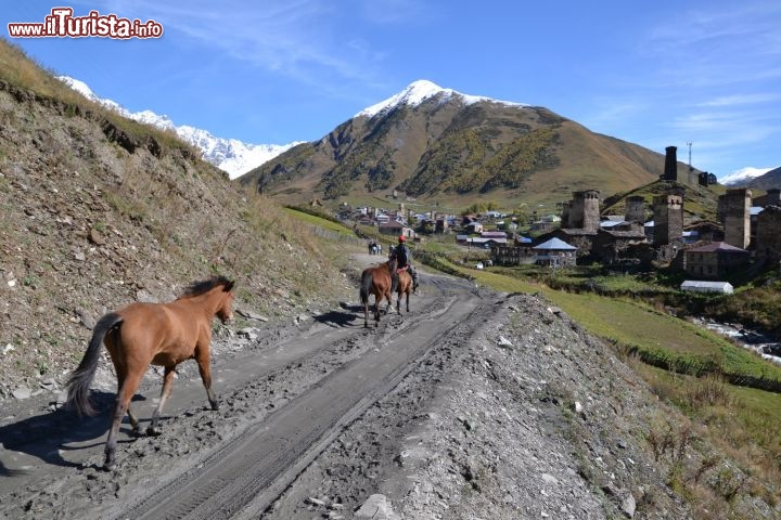 Immagine Cavalli lungo la strada sterrata per Ushguli, la città dell'Upper Svaneti in Georgia.