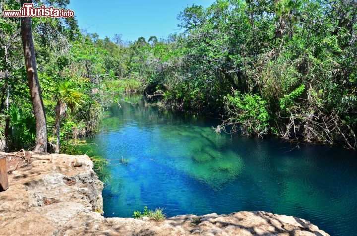 Immagine Il Cenote Escondido,Tulum Riviera Maya (Quintana Roo) Messico. I Maya spesso costruivano i loro insediamenti vicino a queste magnifiche riserve d'acqua dolce, che costellano la penisola dello Yucatan, ed erano considerati come luoghi sacri  - © Elzbieta Sekowska / Shutterstock.com