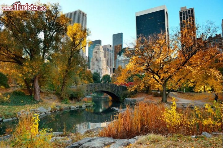 Immagine Autunno a Central Park di New York, Stati Uniti. Il bel foliage autunnale di Central Park, il più grande parco nel distretto di Manhattan - © Songquan Deng / Shutterstock.com