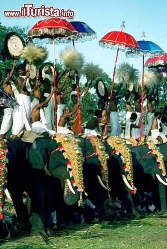 Immagine Cerimonia religiosa nel Kerala India - Foto di Giulio Badini
