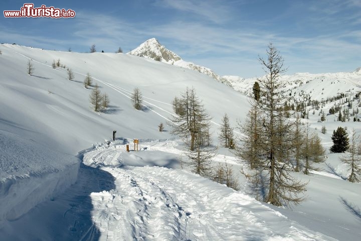 Immagine Cesana Torinese:con i suoi 1376 metri di altitudine la stazione di villeggiatura assicura pgni anno un magnifco paesaggio invernale al termine della Val di Susa, nel Piemonte orientale - © John Lindsay-Smith / Shutterstock.com