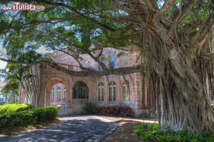 Immagine Charles and Edith winter retreat, una casa di fine '800 a Sarasota in Florida (USA) - © Steve Carroll / Shutterstock.com