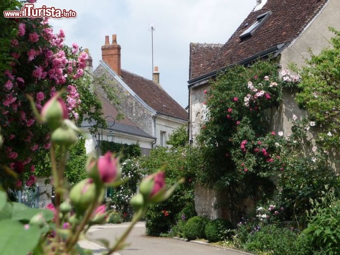 Immagine Chedigny, splendido villaggio nei dintorni di Loches, lungo la Valle della Loira - Foto ©JS Mutschler - CRT Centre Valde Loire