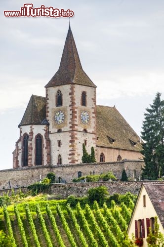 Immagine La chiesa fortificata di Hunawihr in Alsazia - © Claudio Colombo - Fotolia.com