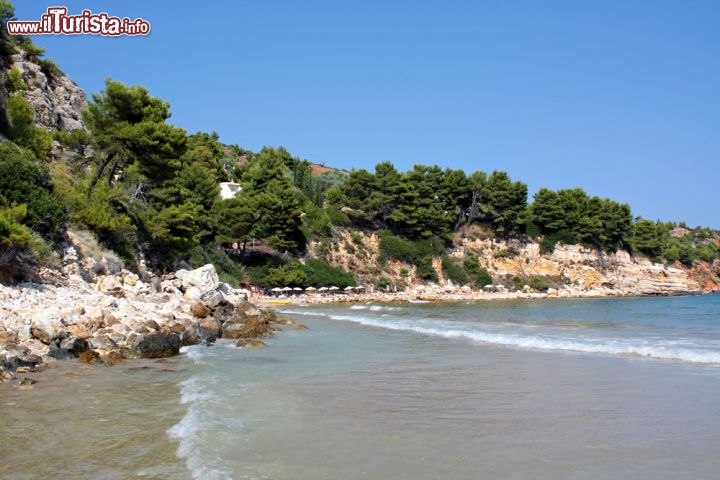 Immagine Chrisi Milia beach, la celebe spiaggia di Alonissos in Grecia - © Madarakis / Shutterstock.com