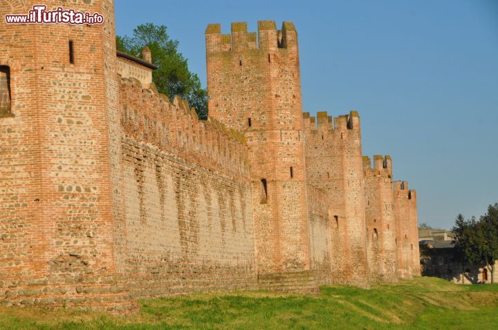 Immagine Cinta di sud-est delle mura di Montagnana: fotografate 6 delle 24 torri del borgo murato del Veneto