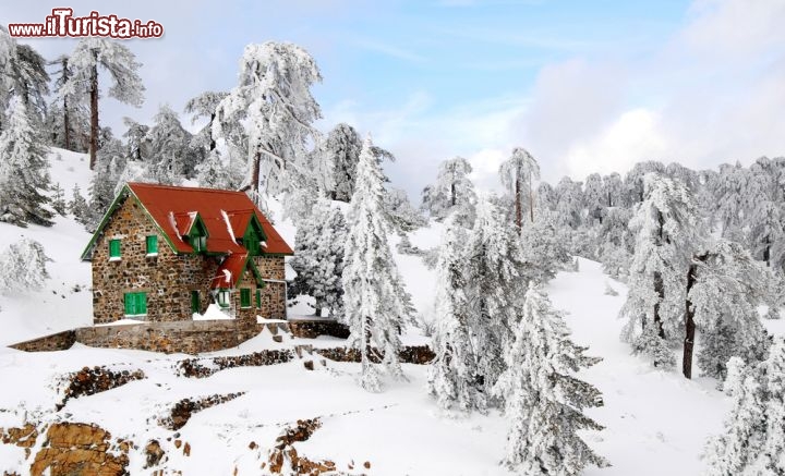 Immagine I monti Troodos di Cipro, durante l'inverno, si ricoprono di un candido manto di neve che sembra cancellare, ma solo per un po', i colori e i profumi mediterranei - © Palis Michalis / Shutterstock.com