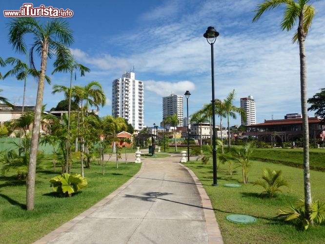 Immagine Clima Manaus: una rara giornata serena al parco Peres della città del Brasile settentrionale - © guentermanaus / Shutterstock.com