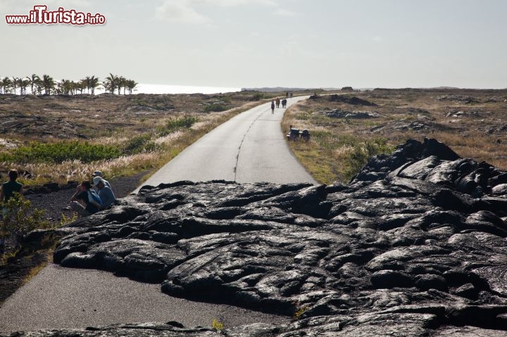 Immagine Isole Hawaii, USA: una colata lavica taglia una strada sull'Isola di Hawaii, la principale dell'arcipelago omonimo. Le eruzioni dei vulcani hawaiani non sono particolarmente pericolose: al di là del fatto che non se ne verifica una da tempo, sono comunque fuoriuscite di lava lente e dolci, non esplosive, che formano colate ampie simili a grandi scudi di roccia scura - © Tor Johnson / www.hvcb.org