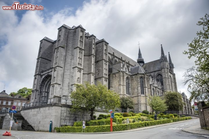 Immagine La collegiata di Sainte Waudru a Mons in Belgio - © Anibal Trejo / Shutterstock.com