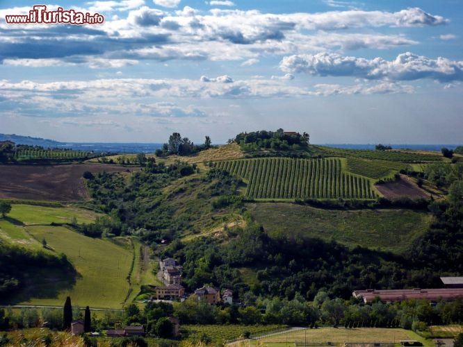 Immagine Colline intorno a Castelvetro Modena, durante la manifestazione Rassegna Gusto natura Cultura si possono compiere spledide escursione nella verde campagna modenese, nelle prime colline