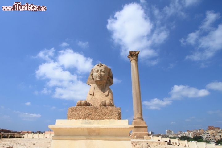 Immagine Colonna di pompeo ed una sfinge a Alessandria in Egitto. La colonna in realtà fu fatta erigere dall'Imperatore Diocleziano. La colonna in roccia granitica è alta ben 30 metri- © mary416 / Shutterstock.com