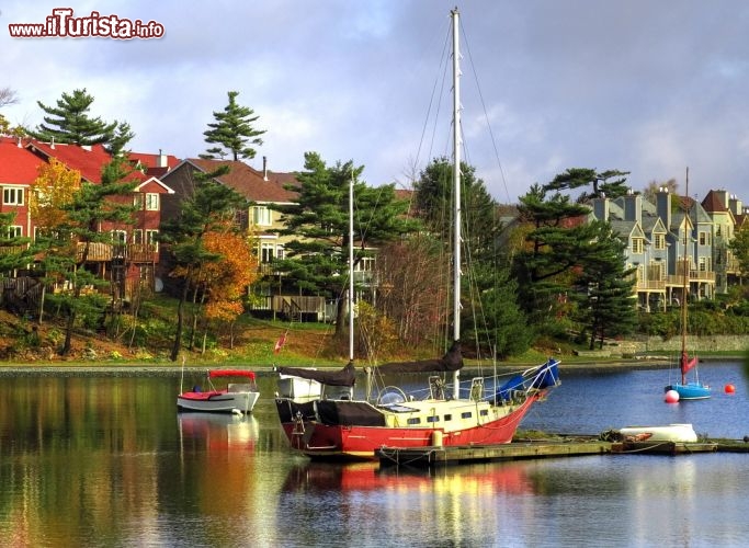 Immagine Nella Baia di Halifax (Nuova Scozia, Canada) è difficile resistere alla tentazione di scattare una foto. Soprattutto in autunno, quando il cielo è terso, i colori sono più saturi che mai e la luce calda impreziosisce tutto, dalle foglie degli alberi ai riflessi e alle barche sull'acqua - © Matthew Jacques / Shutterstock.com