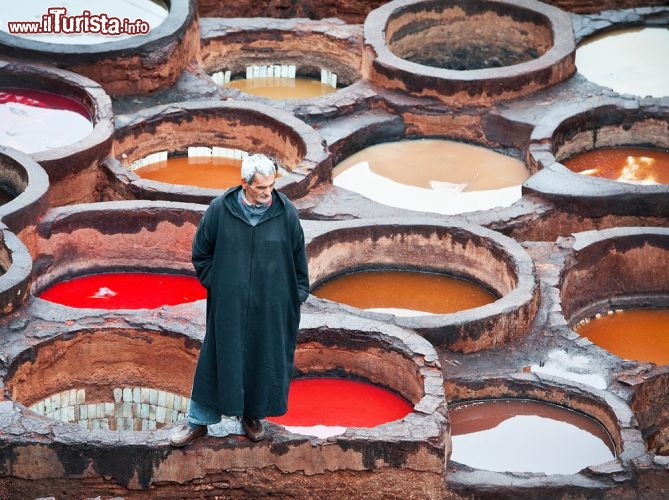 Le foto di cosa vedere e visitare a Fez