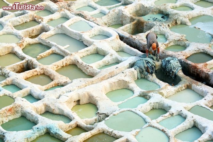 Immagine Concerie di Fes in Marocco: un operaio, incurante dei miasmi della conceria, al lavoro nelle vasche - © Rechitan Sorin / Shutterstock.com