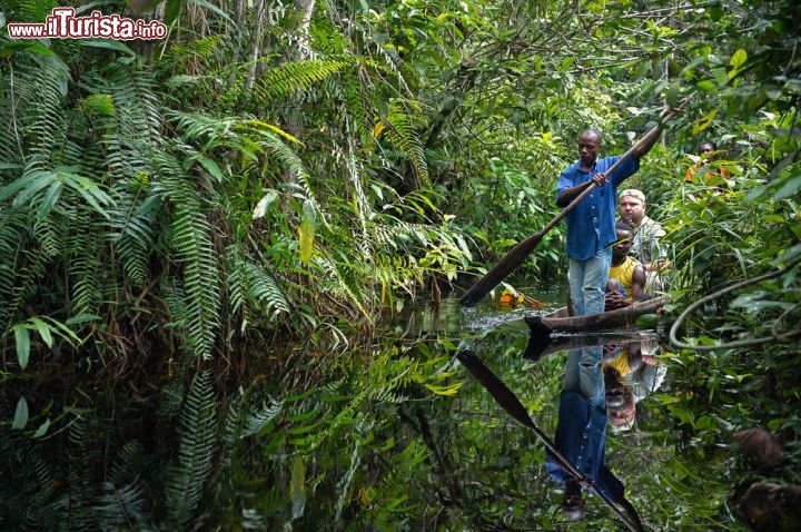 Immagine Fiume e giungla del Congo, fotografati non distante dalla capitale Brazzaville - © Sergey Uryadnikov / Shutterstock.com 