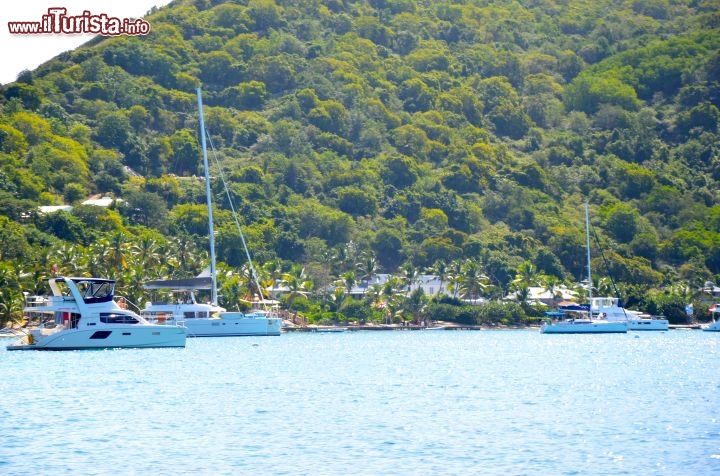 Immagine A Cooper Island si trova solo un resort. Le camere sono nel bel mezzo del giardino tropicale di palme e fiori a pochi metri dal mare e alcune sono state rinnovate di recente. - © Guendalina Buzzanca / thegtraveller.com