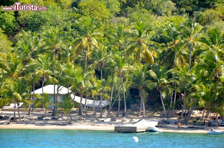 Immagine Cooper Island un’altra delle Isole Vergini Britanniche, si trova davanti a Tortola, tra Ginger Island e Salt Island. La baia sulla quale si affaccia, Manchioneel Bay è una delle più frequentate dai velisiti di tutto il mondo. - © Guendalina Buzzanca / thegtraveller.com