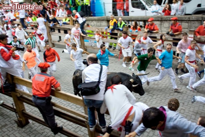 Immagine La corsa dei tori a Pamplona, Spagna, durante la Festa di San Firmino dal 6 al 14 luglio: c'è chi fotografa, chi fa il tifo, ma soprattutto c'è chi fugge all'impazzata seguito dai tori per le vie del centro... purtroppo non è raro che qualcuno si faccia male - © Migel / Shutterstock.com