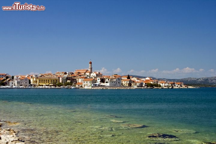 Immagine La costa intorno alla cittadina di Betina, tra le spiagge di Murter, l'isola della Dalmazia posta tra Sibenico e Zara (Dalmazia) - © lero / Shutterstock.com