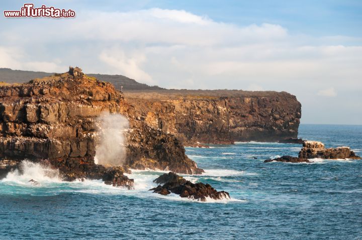 Immagine Un tratto di costa rocciosa sull'isola Espanola, conosciuta anche con il nome di Hood. Chiamata così in onore della Spagna e di un nobile inglese, quest'isola ha un'area di 60 km2 e raggiunge un'altitudine massima che si aggira sui 200 metri sul livello del mare. A renderla una delle più suggestive dell'arcipelago equadoregno è una colata lavica sulla spiaggia che ha creato uno sfiatatoio che proietta l'acqua verso l'alto quando viene colpito dalle onde. Oltre ad essere l'isola più meridionale dell'arcipelago, Espanola è anche quella che ospita il maggior numero di specie enedemiche di fauna - © photoiconix / Shutterstock.com