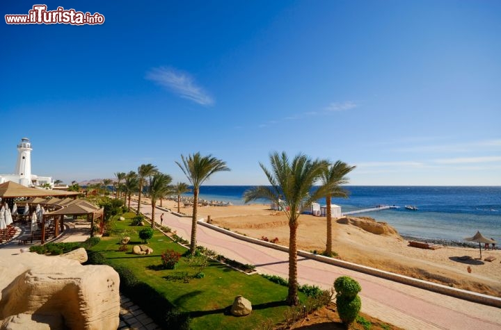 Immagine La costa del Sinai nei pressi di Sharm el Sheikh in Egitto - © Eric Gevaert / Shutterstock.com