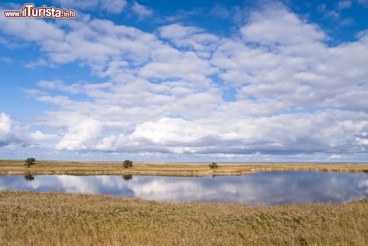 Immagine Costa del Mar Baltico nella zona di Graal Muritz in Germania, nella magica luce della tarda primavera - © bluecrayola / Shutterstock.com