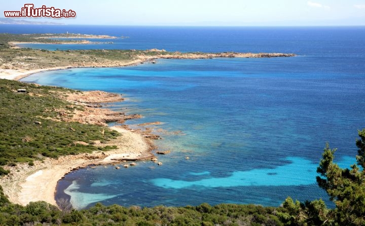 Immagine Nei pressi di Bonifacio, nel Sud della Corsica, la costa alterna spiagge sabbiose a scogliere di roccia calcarea. La spiaggia è una lingua sinuosa stretta tra la macchia mediterranea e il mare cristallino- © LeniKovaleva / Shutterstock.com