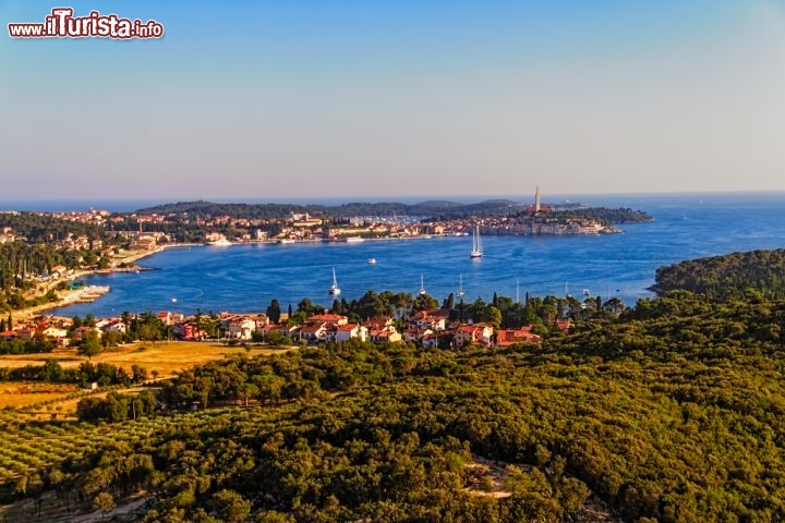 Immagine Costa e mare di Rovigno (Rovinj), la penisola che si tuffa nell'Adritico, lungo le coste nord-occidentali dell'Istria in Croazia - © OPIS Zagreb / Shutterstock.com