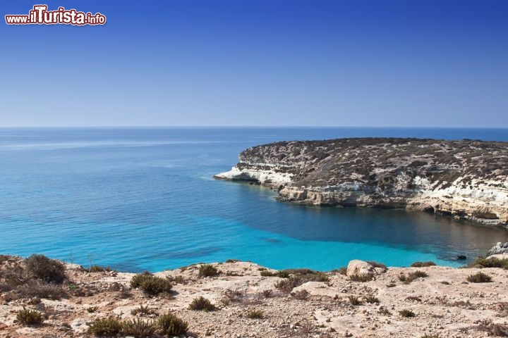 Immagine Costa rocciosa e mare limpido a Lampedusa, la pià grande delle Isole Pelagie, al largo della Sicilia - © RZ Design / Shutterstock.com