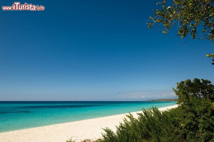 Immagine Costa selvaggia e spiaggia tropicale a Bahia De Las Aguilas vicino a Barahona - © Dominican Repubblic Ministry of Tourism