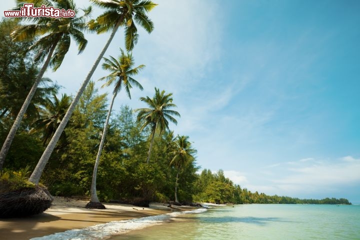 Immagine Costa selvaggia nei dintorni di Khao Lakin  Thailandia - © MO_SES / Shutterstock.com