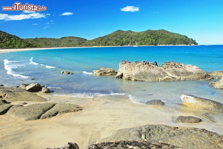 Immagine Costa spettacolare e mare turchese dentro al Parco Nazionale Abel Tasman sull'Isola del Sud (New Zealand). Si tratta del più piccolo National Park della Nuova Zelanda - © Jiri Foltyn / Shutterstock.com