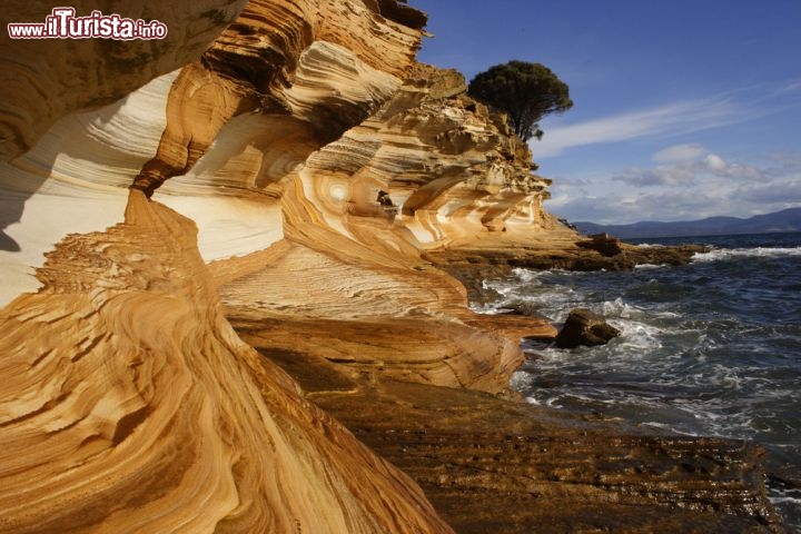 Immagine Costa spettacolare presso l'isola di Maria Island, posta ad est della Tasmania - © Sasapee / Shutterstock.com
