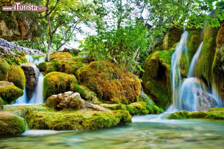 Immagine La magia estiva dei laghi di Plitvice, Croazia - Nota già in epoca antica, Plitvice è una delle attrazioni turistiche più importanti di tutt'Europa e del mondo intero. Bisognerà attendere però il 1949 per assistere alla nascita del Parco Nazionale di Plitvice che divenne anche la prima area protetta dell'Europa sud orientale. Trent'anni più tardi l'Unesco inserì questi incantevoli laghi nella lista del Patrimonio Mondiale dell'Umanità © Mazzzur / Shutterstock.com